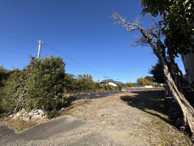 ����Į��Τ�����������ϡ����󣱣�����